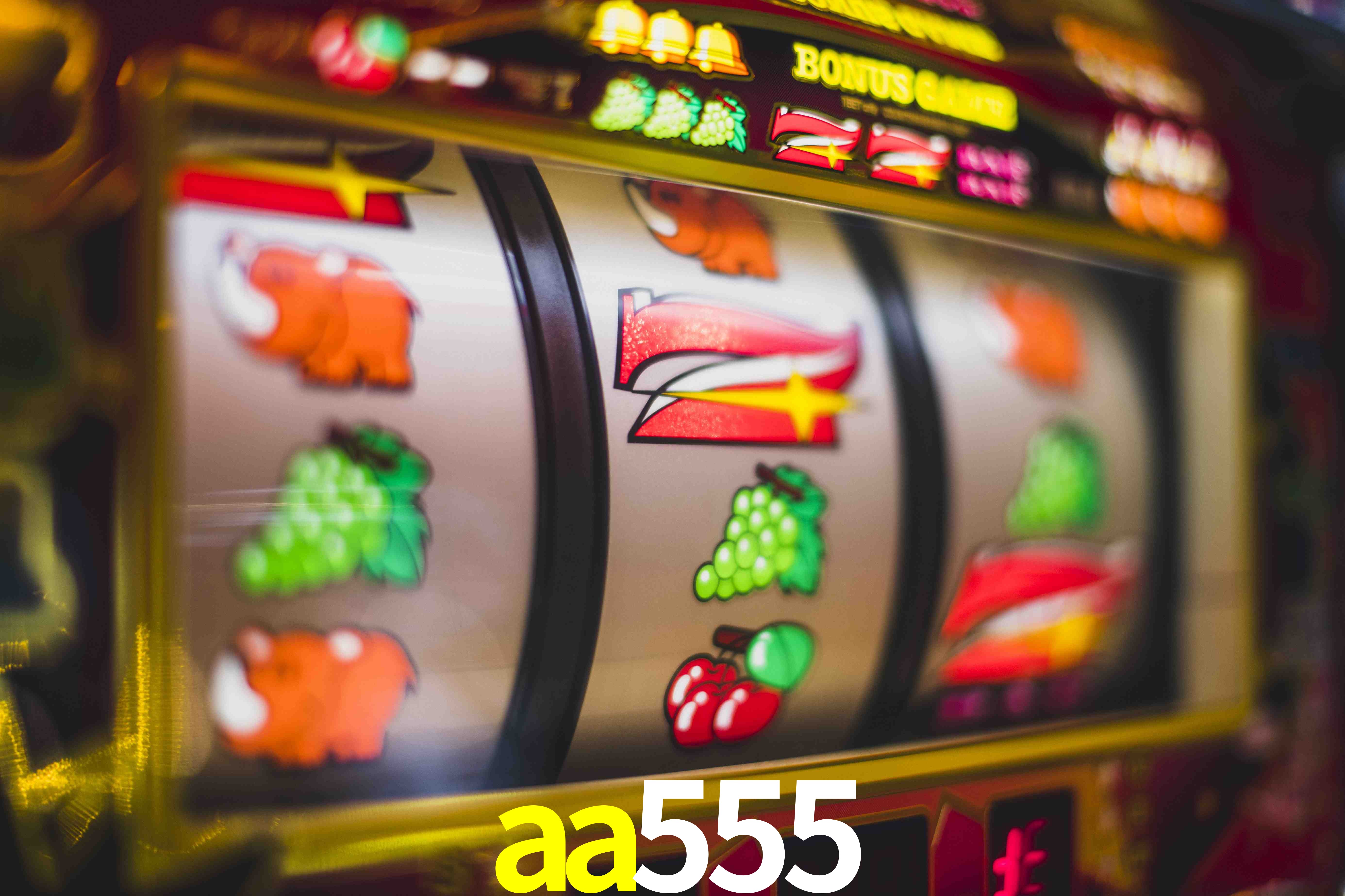 Secure Login aa555